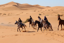 Morocco-Morocco-Sand Dunes Horse & Camel Ride